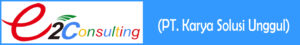 logo-e2consulting